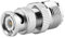 2 Stück BNC Koaxialstecker Stecker auf UHF SO239 PL259 Buchse RF Koaxial Adapterkabel Stecker für Überwachungskamera Radio Verlängerungskabel
