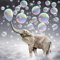 But the cow DIY 5D Diamant Painting Set Full, 5D Diamant Painting Bilder Set, Diamant Malerei Basteln Strass Kreuzstich Stickerei Painting für Erwachsene, Kinder, Zuhause Dekor - Elefant/30x50 cm