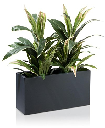 DECORAS Pflanztrog/Blumentrog (Anthrazit-Matt) - Großer, robuster Fiberglas-Blumenkübel für Garten & Terrasse - Winterfester Pflanztopf - UV-beständig (Länge: 60 cm/Breite: 20 cm/Höhe: 30 cm)