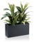 DECORAS Pflanztrog/Blumentrog (Anthrazit-Matt) - Großer, robuster Fiberglas-Blumenkübel für Garten & Terrasse - Winterfester Pflanztopf - UV-beständig (Länge: 60 cm/Breite: 20 cm/Höhe: 30 cm)