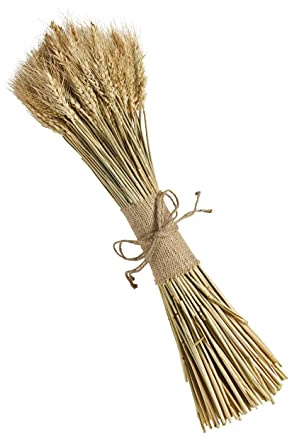 Mud Pie Preserved Wheat Bundle, Small, 18