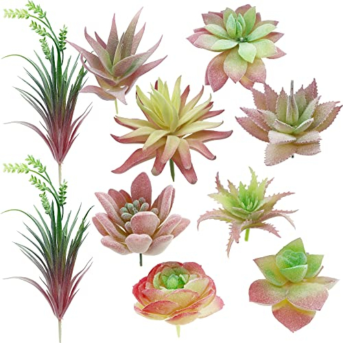 Cayway 10 Stück Künstliche Sukkulenten Rosa Unfotted Faux Blume Sukkulenten Sukkulenten Künstlich Gemischt für Zuhause Indoor Fairy Garden Dekorationen