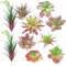 Cayway 10 Stück Künstliche Sukkulenten Rosa Unfotted Faux Blume Sukkulenten Sukkulenten Künstlich Gemischt für Zuhause Indoor Fairy Garden Dekorationen