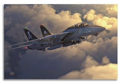 RTAG F-14 Poster Kampfflugzeug, dekoratives Gemälde, Leinwand, Wandposter und Kunstdruck, moderne Familienschlafzimmer-Dekoration, Poster, 30 x 45 cm