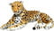 Wagner 2003 - Plüschtier Gepard - liegend - 60 cm