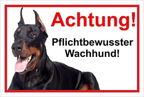 Melis-Folienwerkstatt Schild Warnschild Vorsicht freilaufender Hund – Dobermann Achtung – Pflichtbewusster Wachhund – 20x30cm – S22H