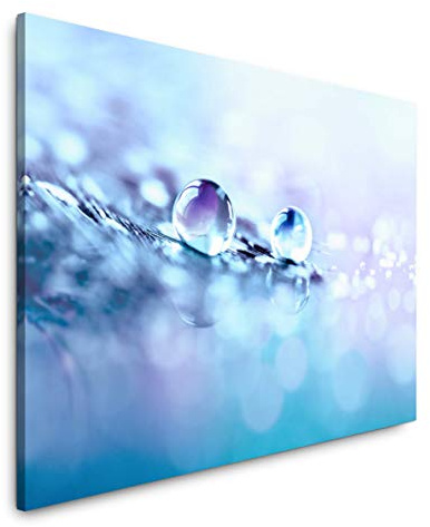 Paul Sinus Art Wassertropfen auf einer Feder 150 x 100 cm Inspirierende Fotokunst in Museums-Qualität für Ihr Zuhause als Wandbild auf Leinwand in XXL Format