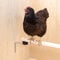 Agrarflora Milbensperre für Hühnerstange - Milbenfalle gegen rote Vogelmilbe im Hühnerstall - Anti Blutmilben Set für Sitzstange - effektiver Milbenschutz für Hühner und Geflügel