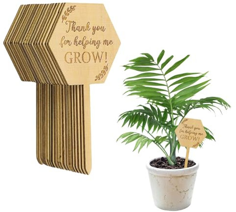 Thank You for Helping Me Grow Etichette per piante grasse, regali di apprezzamento per insegnanti, 20 pezzi, etichette esagonali in legno per piante, regalo per la festa della mamma, Natale,