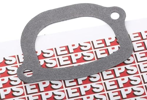 EPS Dichtung Thermostat 1.890.505 PANDA (169) PUNTO (188) STILO (192)