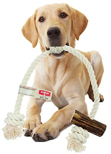 4DOGS Indestructible Dog Rope Toy for Dog Teeth Cleaning Combined with Natural Dog Chew Antler, This is 100% Natural Gluten Free, GMO Free Dog Toys - 1 Piece Single String - XL Mix