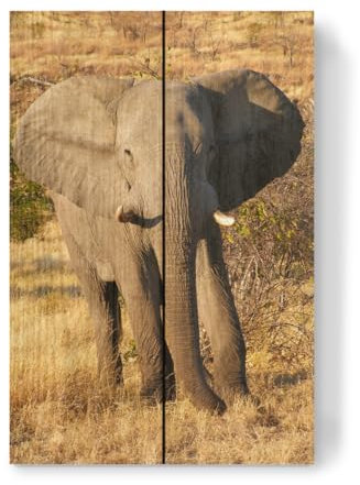 artboxONE Holzbild 30x20 cm Natur Elefant in Afrika von Künstler sommersbilder