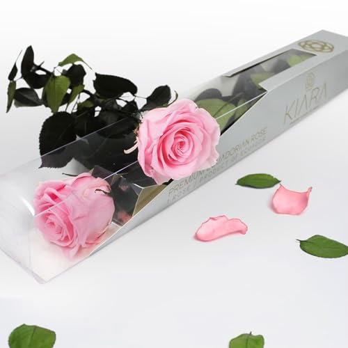 Rose éternelle naturelle préservée avec tige 55 cm pour femme, maman, petite amie, grand-mère - Fleurs infinies pour anniversaire, Saint-Valentin, fête des mères, Noël - 1 rose