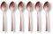 ECHTWERK EW-KS-1430 Mokkalöffel, 6-teiliges Löffel Set, für Kaffee und Tee, mit Matter Oberfläche, aus hochwertigem Edelstahl 18/10, modern und langlebig, Avelino-Bronze Edition, Stahl