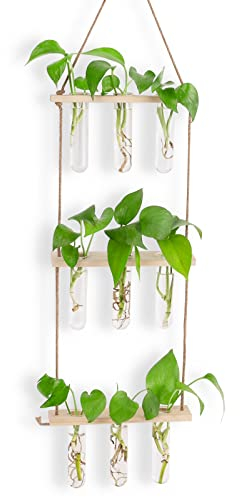 Kit de propagación de terrario para plantas hidropónicas, 3 niveles, pared colgante de terrario de cristal con 7 tubos de ensayo, 3 clavos que no destiñen (color madera natural)