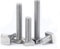Viti a testa quadrata in acciaio inossidabile 304 Bulloni M4 M5 M6 M8 M10 M12(M5-5Pcs,20mm)