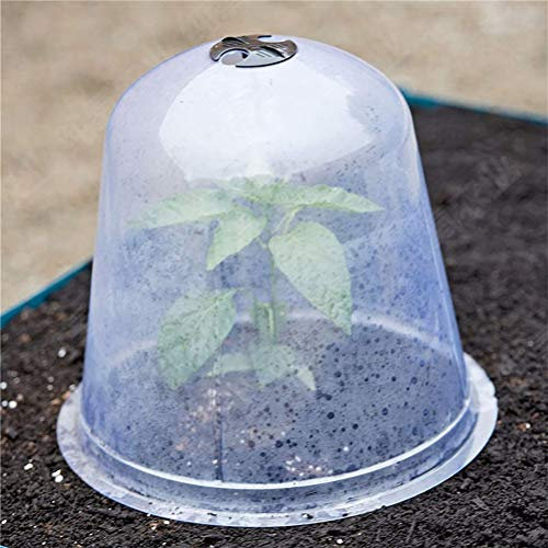 Cloche en Plastique pour Plantes 6 Pièces, Couvercle de Protection Durable Contre l'humidité pour Jardin Extérieur
