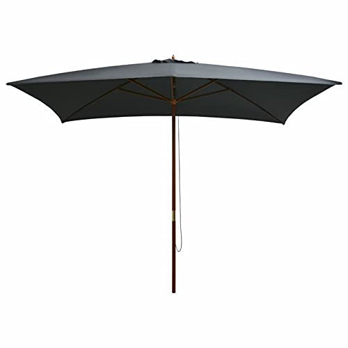 ARKEM Parasol d'extérieur avec mât en Bois 200 x 300 cm Anthracite,Parasol de Jardin Exterieur,Protection UV,Parasol,