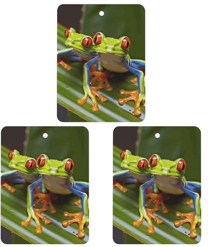 Lufterfrischer Auto-Lufterfrischer Red Eyed Tree Frog Auto-Dufttabletten (3er-Pack) (Lavendel/Meeresduft/Weißer Tee-Duft) für Auto oder Zuhause.