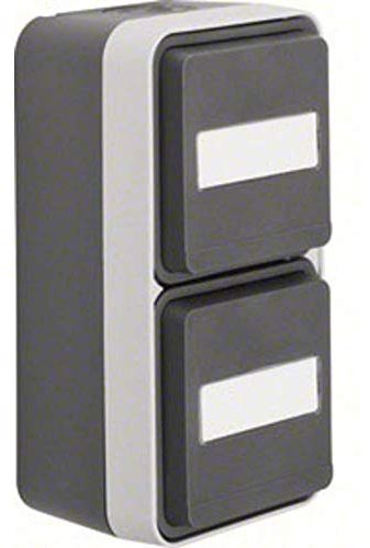 Berker Doppelsteckdose Aufputz W.1 Grau, Lichtgrau 47703535