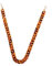 Zeayebsr Brillenkette Sonnenbrille Brillen Kette Halter Kette Gläser Schnüre Gurt Lesebrillen Brillenbänder für Damen, Kinder, Herren,Mode Acryl Brillen (Bernstein)