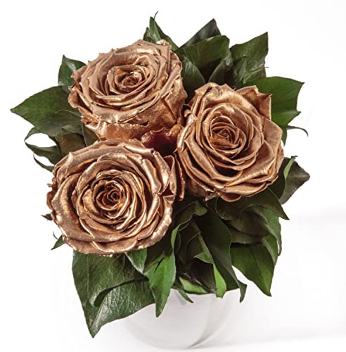 ROSEMARIE SCHULZ Heidelberg Infinity Blumenstrauß echte konservierte Rosen Lange haltbar bis zu 3 Jahre (3 Rosen, Gold)