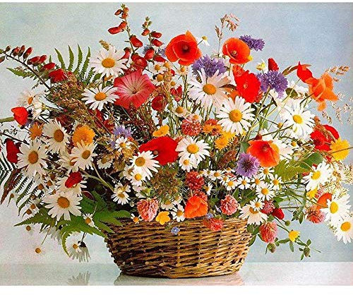JRLTYU Peinture par Numero Panier de Fleurs Bouquet coloré DIY Peindre par Nombre Kits sur Toile Peinture à l'huile de Bricolage Décoration Murale 40X50cm(sans Cadre)