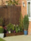 Abaseen Natural Willow Screening Roll for Garden Privacy Screen Fencing Panel Border Wind and Sun Protection.