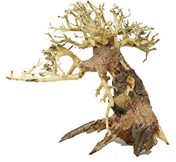 Bonsai Treibholz Aquarium Baum TT8 zufällige Auswahl (16,5 cm Höhe), natürliche, handgefertigte Aquarium-Dekoration, einfach zu installieren