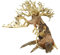 Bonsai Treibholz Aquarium Baum TT8 zufällige Auswahl (16,5 cm Höhe), natürliche, handgefertigte Aquarium-Dekoration, einfach zu installieren
