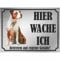INDIGOS UG - American Stafford - Schild bedruckt - Hier wache ich - Aluverbundplatte Edelstahl Look - ab 20x15 cm - Spruch - Deko Geschenkidee für Ihren Hund - Zaun - Türschild
