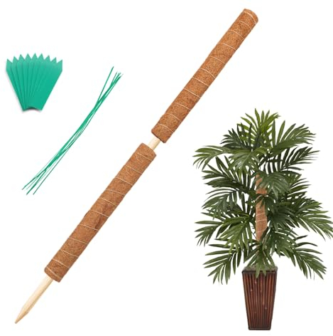 Augshy Palo di muschio da 86 cm, confezione da 2 pali di muschio da 49,5 cm per piante rampicanti Monstera, bastoncini di muschio per piante da interno per piante rampicanti da interno crescere verso
