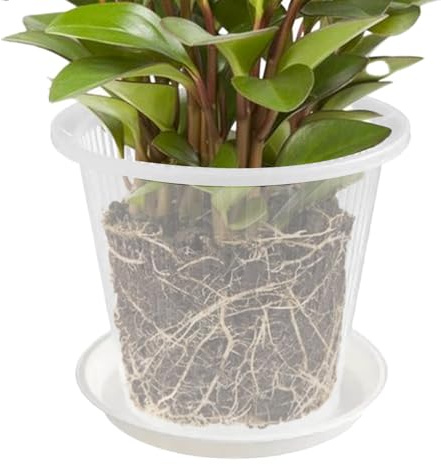 Ylnailky Vaso per orchidee | Vaso per orchidee con fori e sottovaso per rinvaso, fioriera trasparente per casa, giardino, soggiorno, cucina, patio