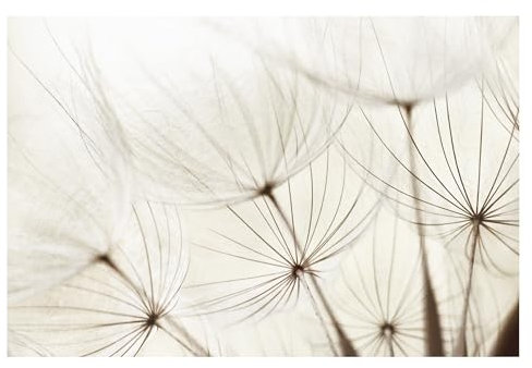 Bilderwelten Fototapete Gräser 290cm x 432cm Blumen Modern Natur Blumentapete Vliestapete Tapete Wanddeko Ideen Wohnzimmer Schlafzimmer Küche
