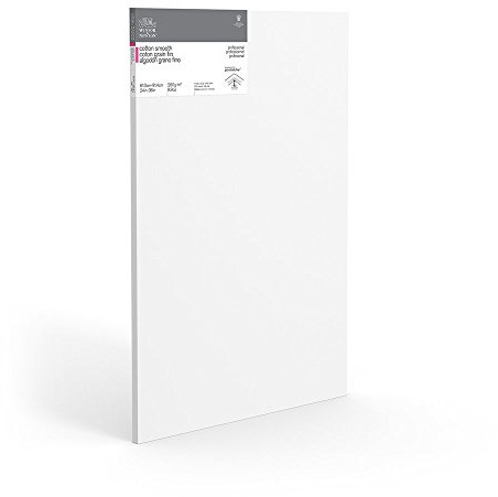 Winsor & Newton 24 x 36-Inch Professional Cotton Smooth Canvas (Pack of 1)