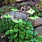 Sun Catcher Garden Decor Sonnenfänger 5 leuchtende Schmetterlinge, Garten Dekoration Geschenk für Beet, Balkon oder Terrasse, Farbe:Grün