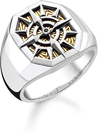 Thomas Sabo Unisex-Ring Kompass gold 925 Sterlingsilber gelbgold vergoldet TR2278-849-7-64