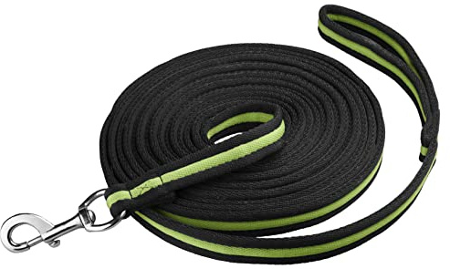 Start Longierleine für Reitsport – Pferdelonge 8 m aus Nylon – Softlonge mit Handschlaufe & Karabiner – rutschfeste Longe für Pferd (Schwarz/Apfelgrün)