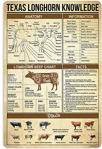 NEGLAI Texas Longhorn Knowledge Metallschilder Poster, Vintage-Wanddekoration, Bauernhaus-Dekoration, 40,6 x 30,5 cm