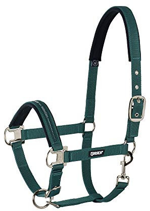 Halfter PIN BUCKLE CORE