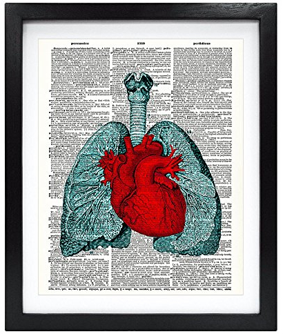 Susie Arts Kunstdruck, ungerahmt, Herz und Lungen, Anatomie, Upcycling, Vintage, Wörterbuch-Kunstdruck, Heimdekoration, Wandkunst, 20,3 x 25,4 cm