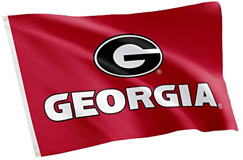 Desert Cactus Flagge 5 der Universität von Georgien, 100 % Polyester, für drinnen und draußen, 91 x 152 cm