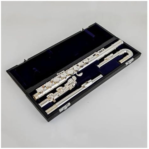 Querflöte Instrument 16 Tasten, Geschlossenes Loch, Alt-G-Ton-Flöte, Versilberte Tasten, Professionelles Flöteninstrument Mit Koffer
