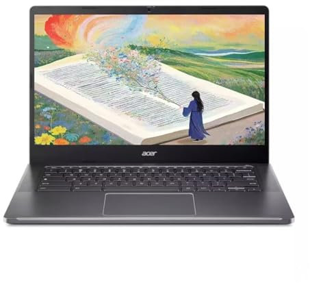 acer Chromebook Plus, ordinateur portable à écran tactile FHD 14 (1920 x 1080), Intel i3-N305, 8 Go de RAM LPDDR5, SSD PCIe 512 Go, webcam, Chrome OS, gris, housse de protection incluse, carte SD TWE