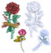 Attuslla 2 Stück Blumenform Epoxidharz Formen Silikon Fondant Form, 3D Rose Silikonform Gießform, Silikonformen Epoxidharz für Tortendekoration, Valentinstag
