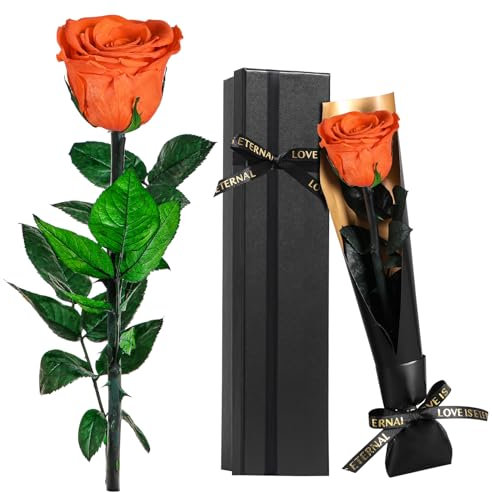 Touloube Rosa Stabilizzate Vera Eterna Arancione Fiori Regalo Donna Compleanno Natale Anniversario Per Lei, Regali Mamma Fidanzata Moglie Sorella, Ti Amoregali, Festa Della Mamma, San Valentino