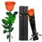 Touloube Rosa Stabilizzate Vera Eterna Arancione Fiori Regalo Donna Compleanno Natale Anniversario Per Lei, Regali Mamma Fidanzata Moglie Sorella, Ti Amoregali, Festa Della Mamma, San Valentino