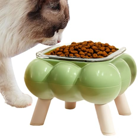 Monozoz Gamelle surélevée pour Chat | Gamelle antidérapante pour Chaton – Mangeoire surélevée inclinée pour Chat, pour l'intérieur, l'extérieur, l'appartement, la Maison, Le Salon, Les Voyages