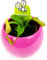 POWERS TO FLOWERS - NEPENTHES ALATA IN VASO CERAMICA SFERICO FUCSIA, pianta vera
