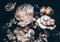 Forwall - Vlies Fototapete Blumen Vintage Pfingstrosen Schwarz Rosen Dunkel 368x254 cm - Fototapeten - Tapeten - für Wohnzimmer Schlafzimmer - Vliestapete Wandtapete Tapete 3D Effekt- inkl. Kleister